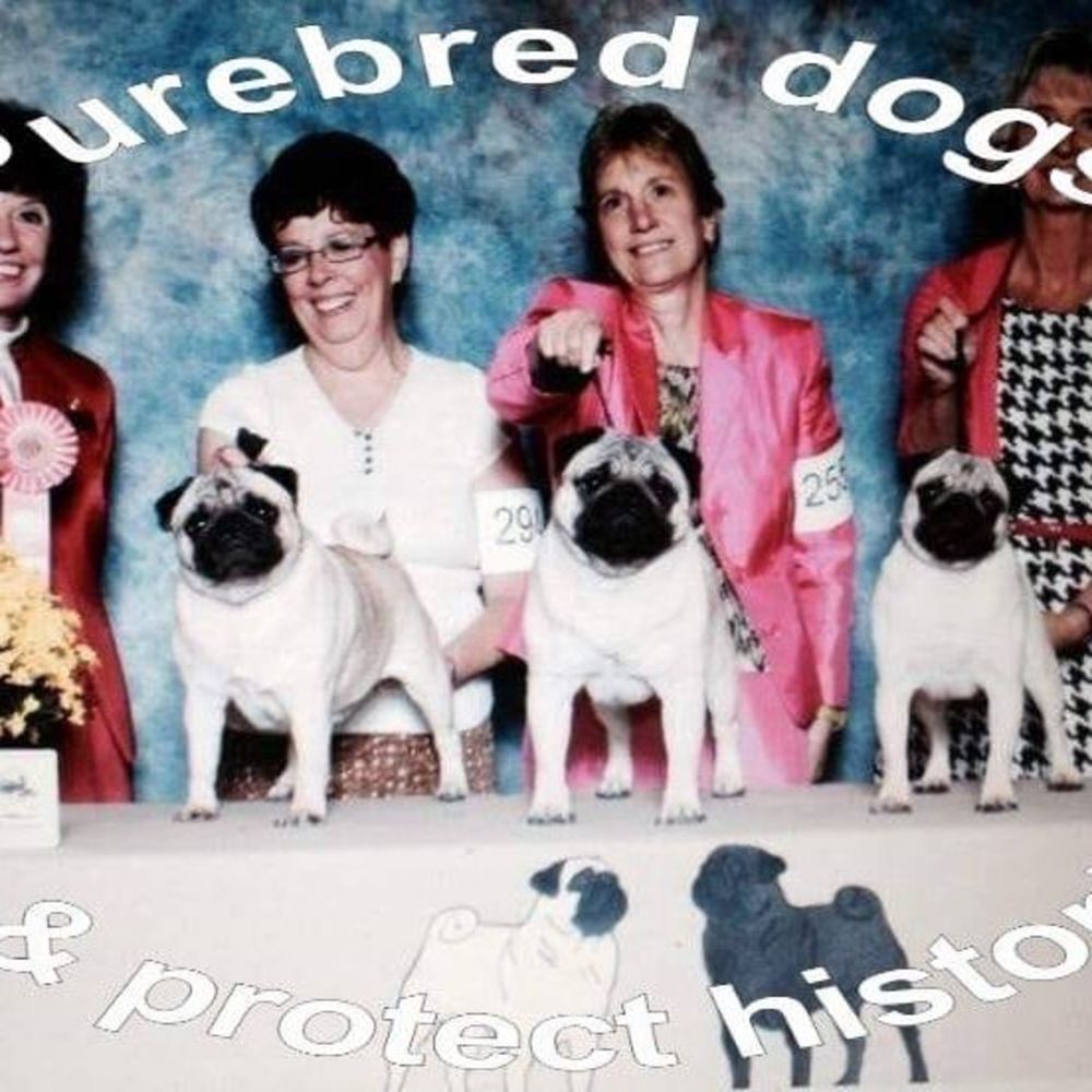 Meet your Posher, Dee